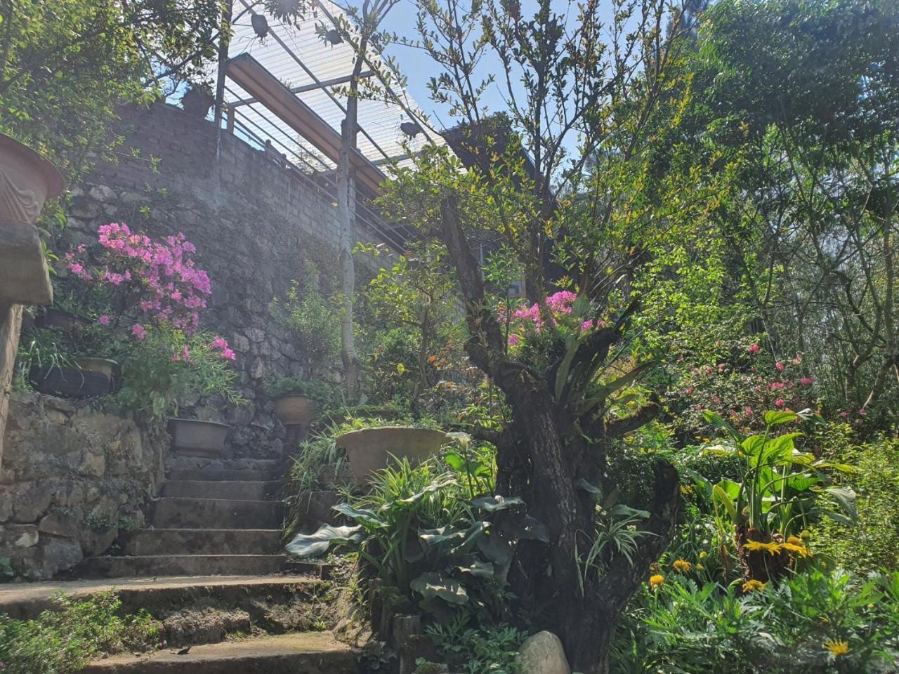 Sapa Garden Bungalow Экстерьер фото