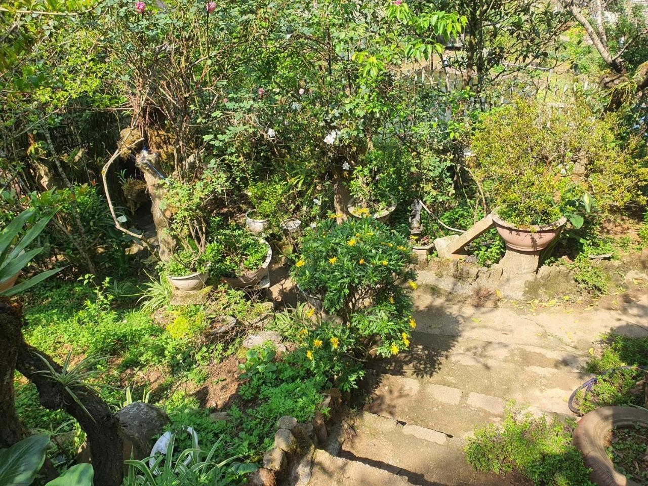 Sapa Garden Bungalow Экстерьер фото